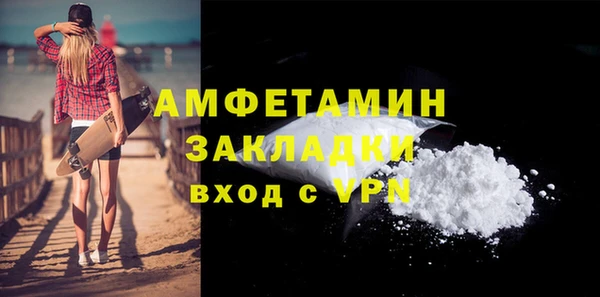 твердый Новозыбков