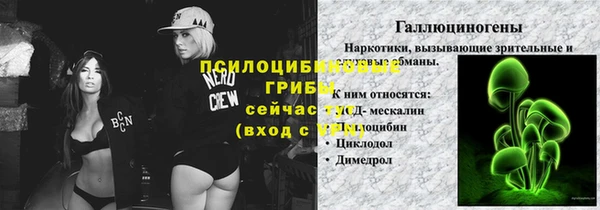 амф Новодвинск
