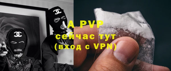 амф Новодвинск