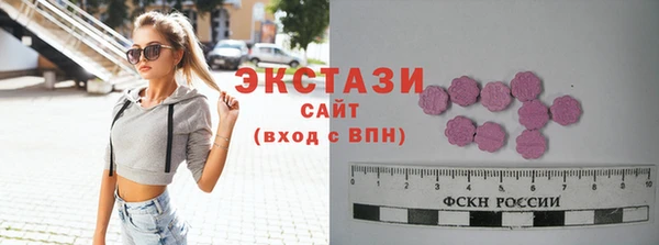 твердый Новозыбков