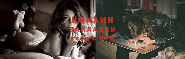 твердый Новозыбков