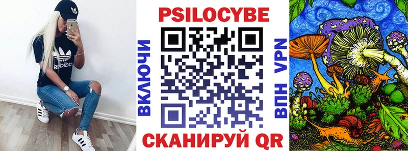 купить закладку  Королёв  Псилоцибиновые грибы MAGIC MUSHROOMS 